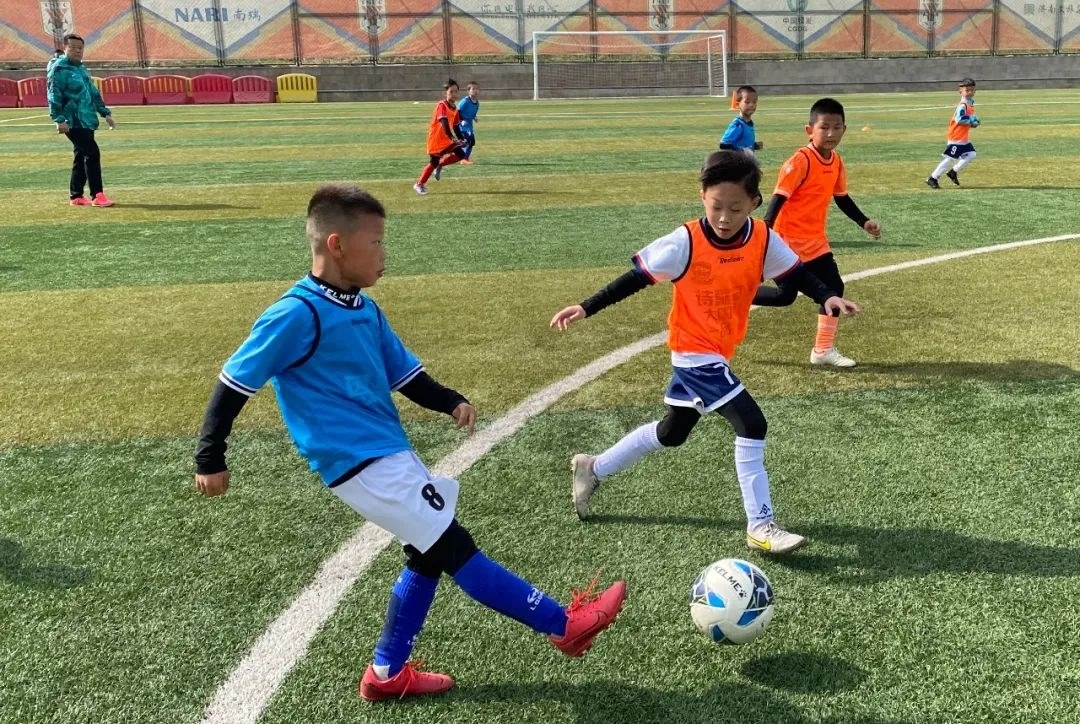山东泰山青少年训练营（U8、U10）精英梯队第三次选拔赛圆满进行