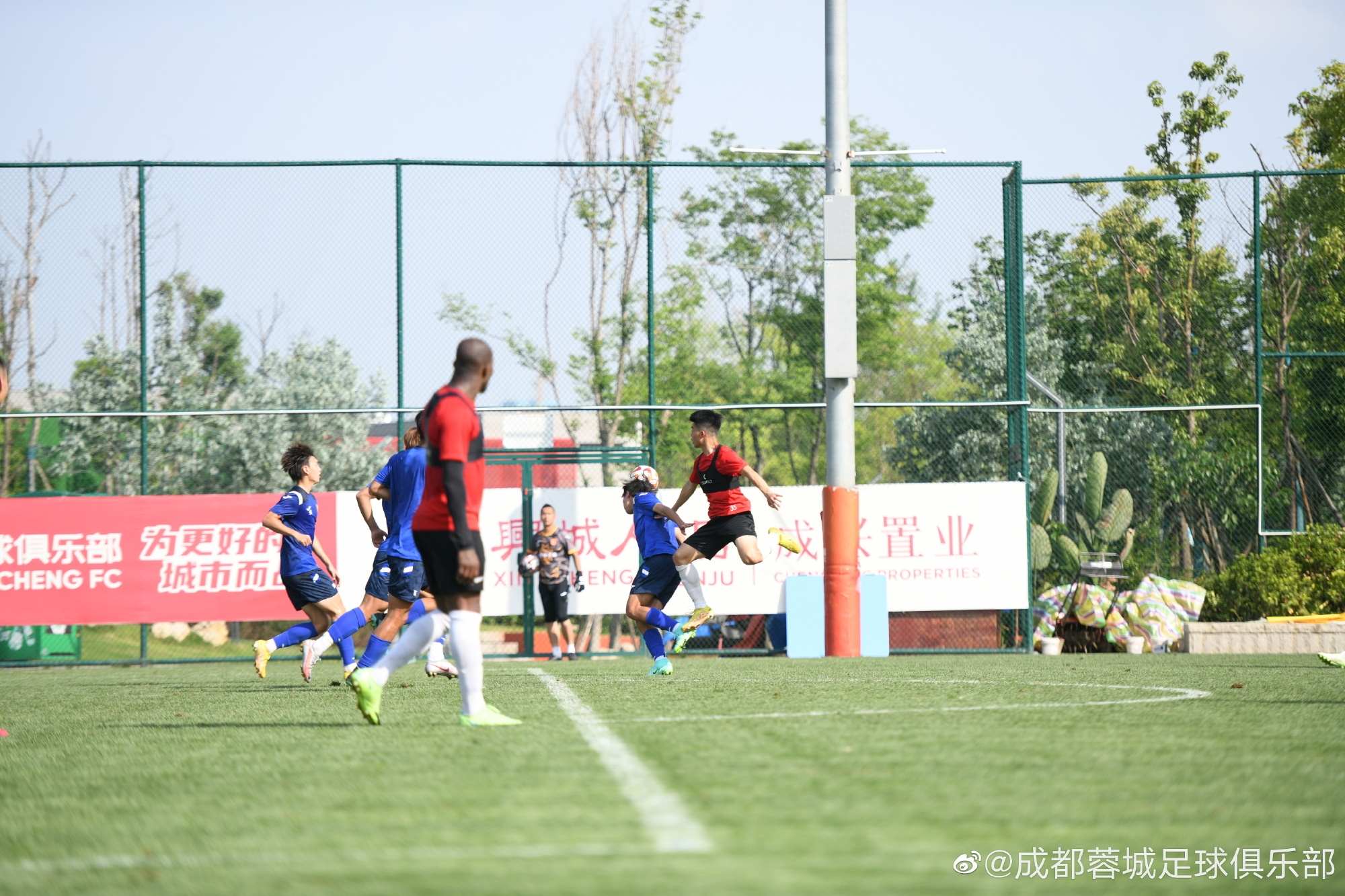 热身赛：成都蓉城3-2重庆铜梁龙，帕拉西奥斯、唐创、廖荣祥破门
