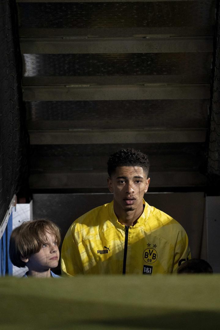 突然之间，贝宝探头！