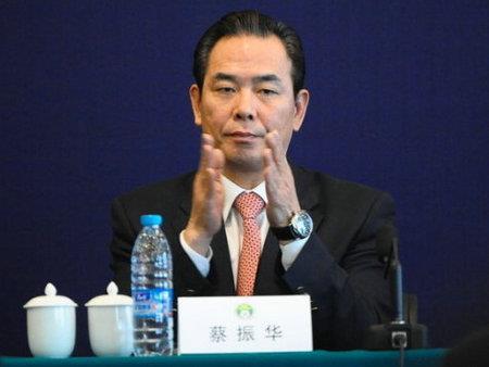 蔡振华出任中国足协主席