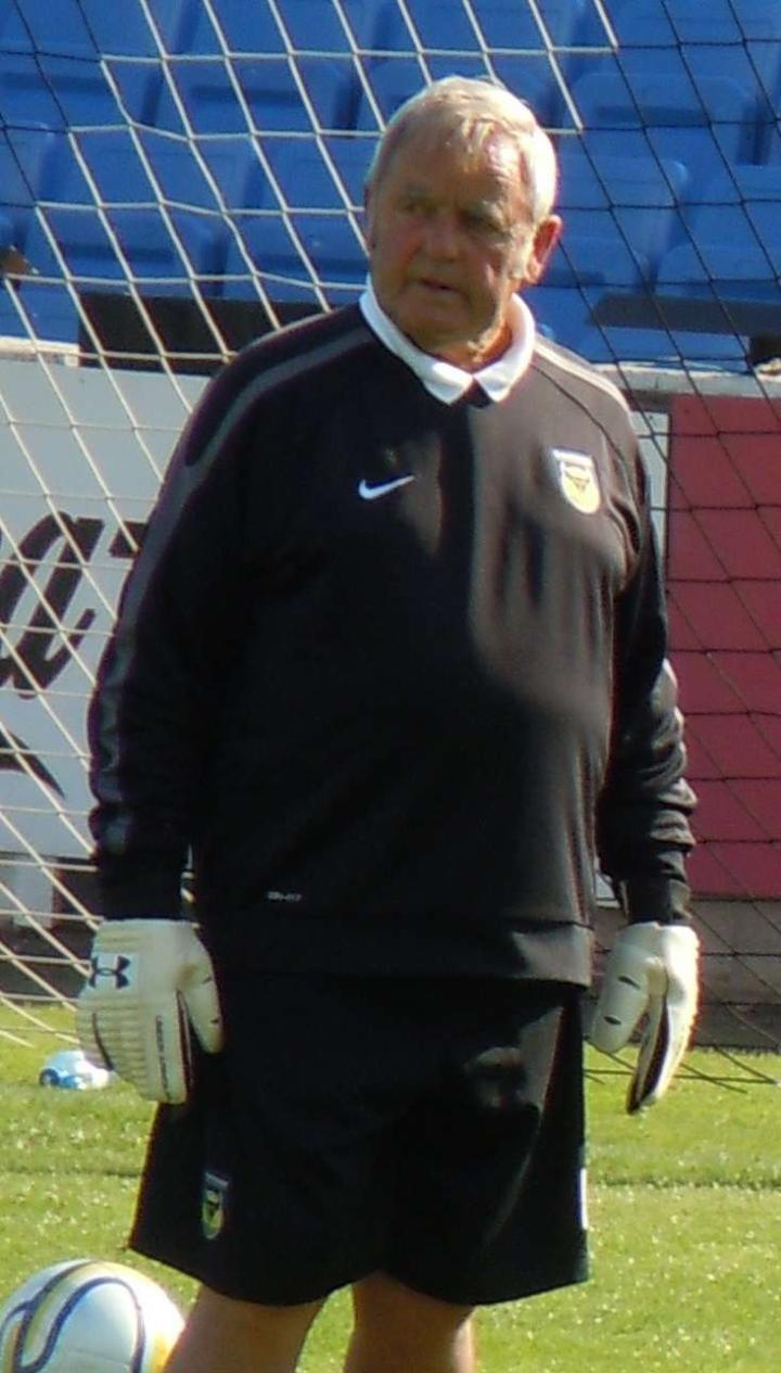 英格兰足球名将Alan Hodgkinson19
