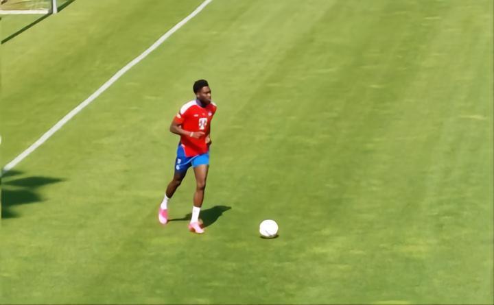 记者：保罗-万纳和阿方索-戴维斯今天进行了个人训练