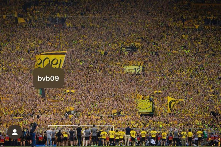 黄黑普鲁士 罗伊斯Ins：而今识尽愁滋味，欲