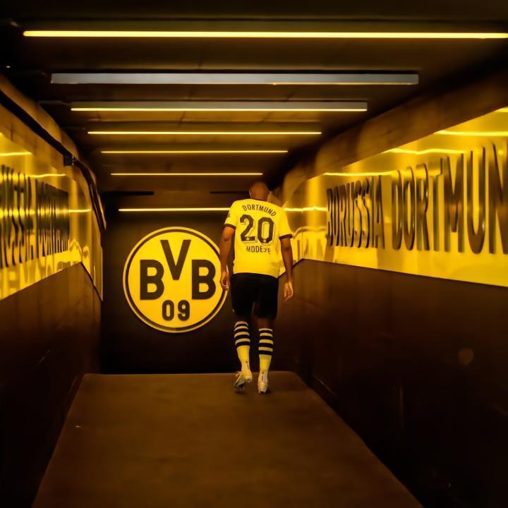 莫德斯特：“我们一起欢笑，一起哭泣，在这段旅程的