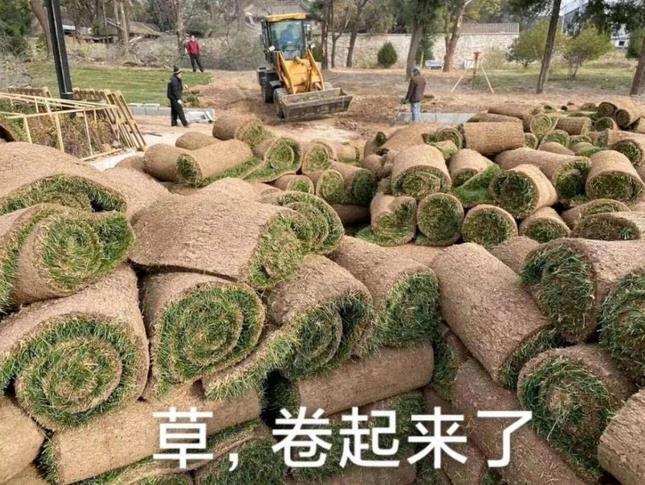 本赛季加的斯积42分排名西甲第14领先降级区2分