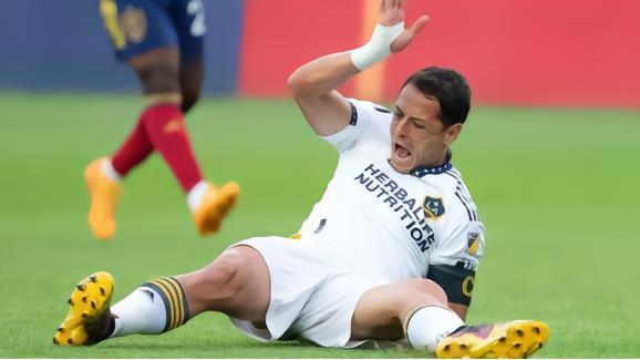 小豌豆遭受前十字韧带撕裂