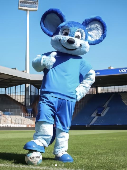 老鼠是最近比较火的动物，我国文化中普遍不喜欢老鼠