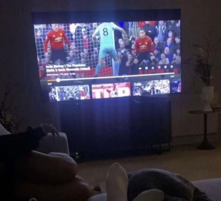 一名女士：我去了谢尔维家，他给我看他的精彩集锦