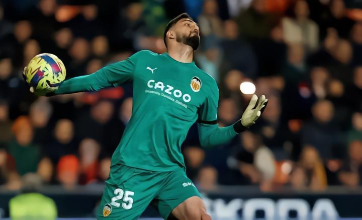 卡尼萨雷斯：马马尔达什维利像典型德国门将，是一笔超值交易