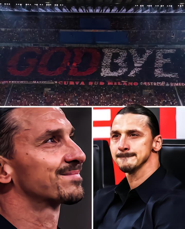 2022-2023，别离旧忆