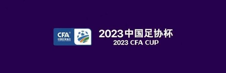 重庆铜梁龙足协杯比赛服问题：铜梁龙比赛服左上臂那