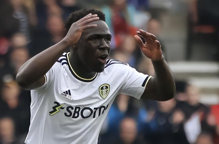 根据天空体育的消息，英超降级队利兹联队中的意大利