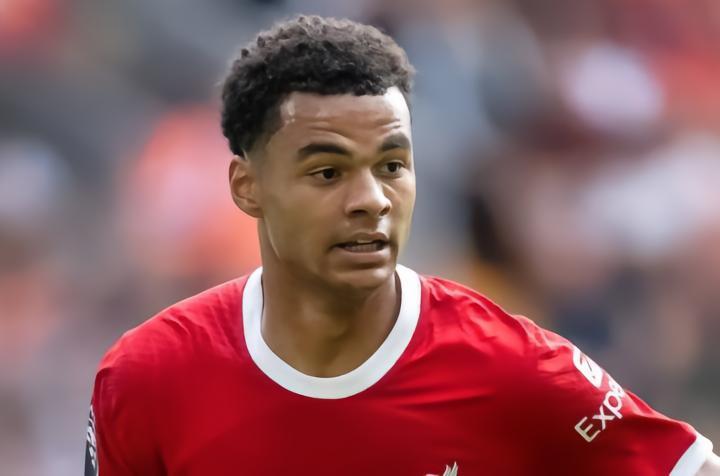 回声报：加克波并不适应中场的位置，预计本周开始重回锋线