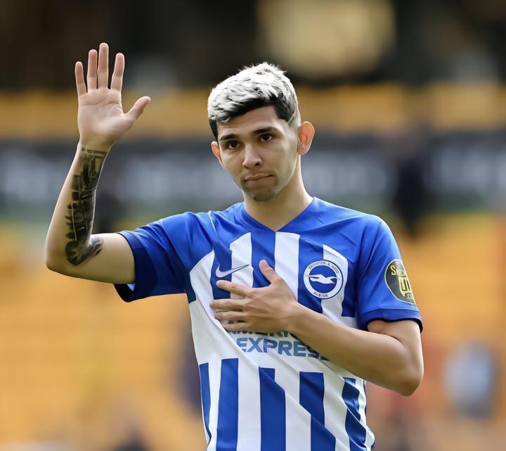 海鸥遭遇打击！布莱顿和再次遭受伤病打击，据报道，