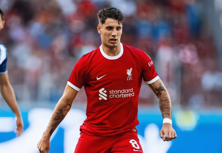 索博斯洛伊：我和哈兰德是好朋友，我们的住所只隔两栋房子