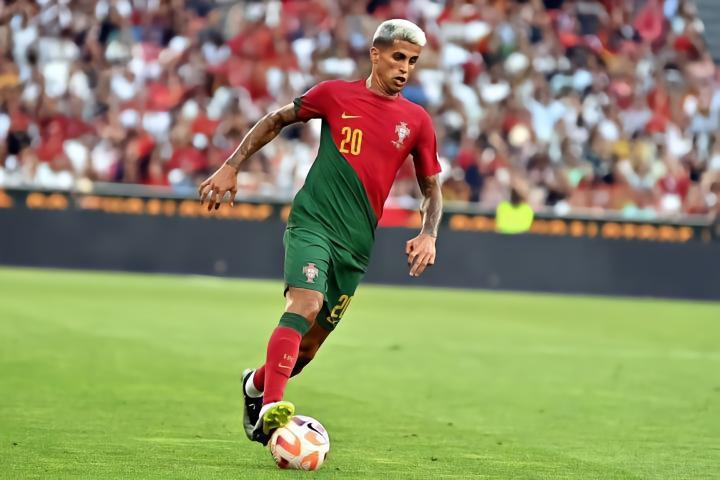 德天空：拜仁确实询问了坎塞洛的情况，巴萨现阶段无法签下他