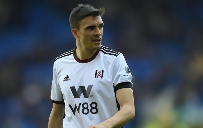 记者：富勒姆最后时刻全力留帕利尼亚，即使拜仁报价很高