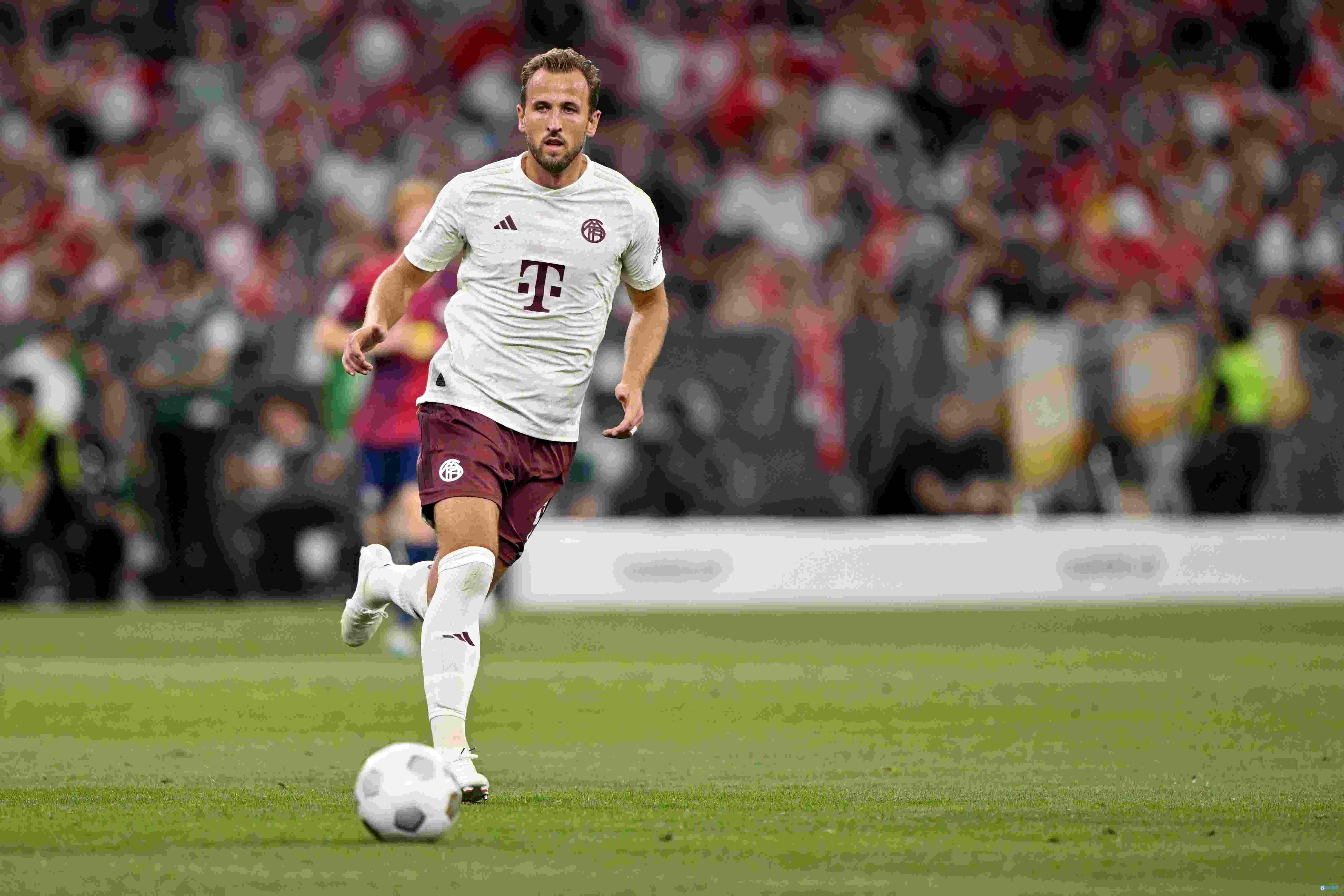 莱万谈凯恩：尽管会有坎坷和挑战，但他是拜仁进攻端的绝佳人选