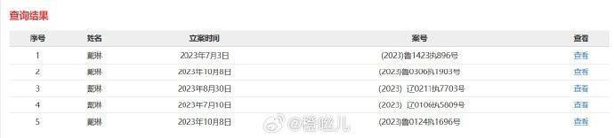 博主：戴琳2023年度被执行5次，总计执行标的超350万元