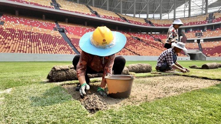 渝媒：龙兴足球场完成8000平方米草坪移植 确保达国际A级赛事标准