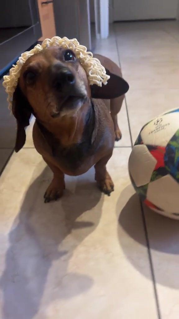 火遍外网！亚马尔金色发型遭网友恶搞，狗头放泡面 洗脑音乐