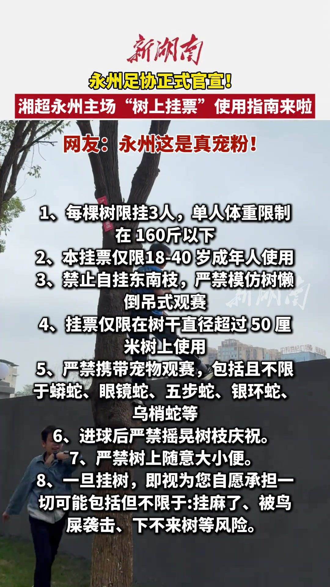 “湘超”永州出台“树上挂票”指南！每棵树限挂3人 承担鸟屎风险