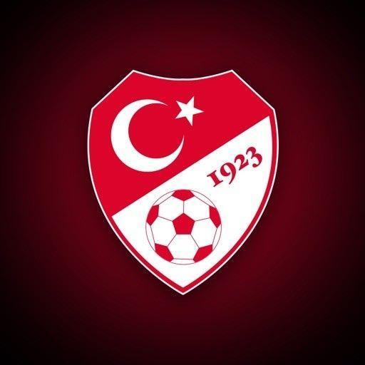 土耳其足协自查：571名现役裁判有152人投注博彩，主要是海外联赛