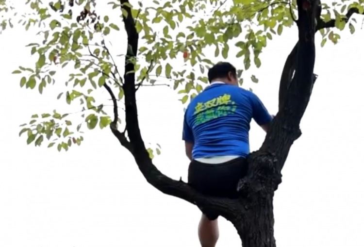 湘超联赛推出“挂票”，球迷可坐在树上看球但禁止“自挂东南枝”