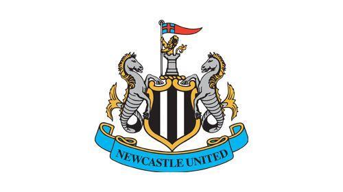 纽卡声明球迷被不公对待：警方对球迷使用了胡椒喷雾、警棍和盾牌