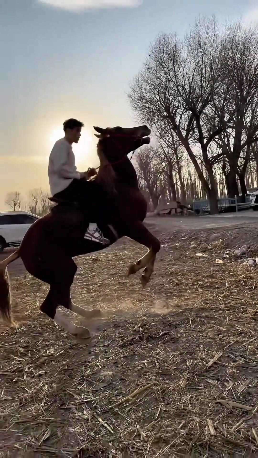 化身骑士拜合拉木晒骑马视频：今天来个不一样的