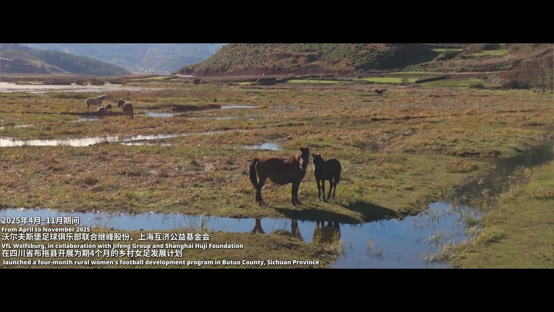 片名：沃尔夫斯堡足球俱乐部《用足球连接世界》