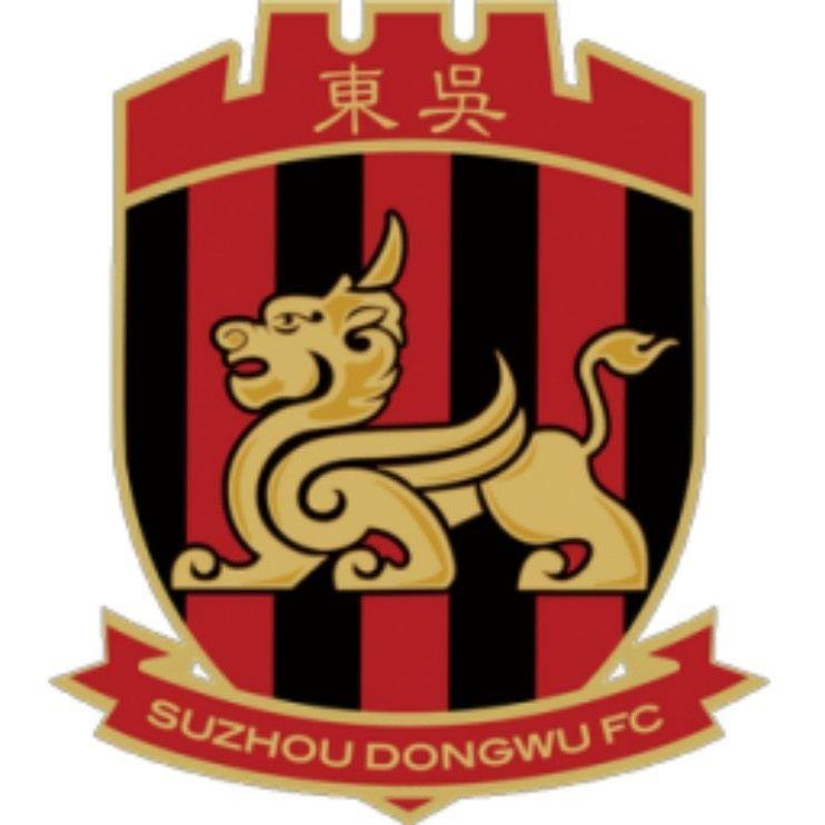 备战苏超！苏州市足球队面向社会公开招募选拔优秀足球运动员