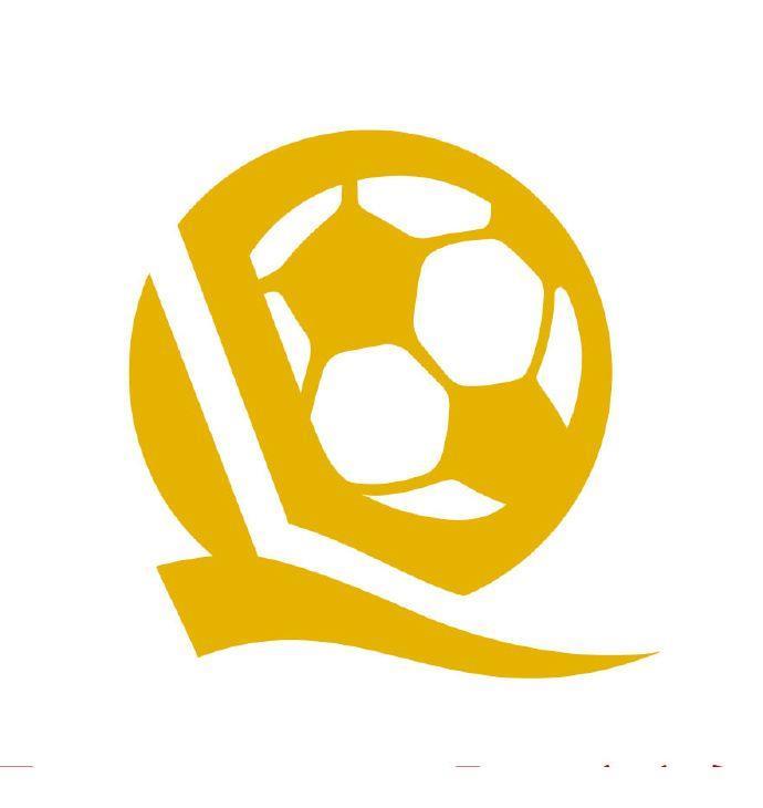 “462杯”中国队伍介绍：6支职业俱乐部梯队，恒大足校在列