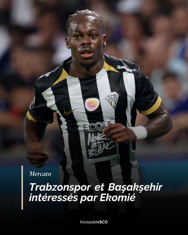 法媒：里尔、法兰克福及汉堡等多队有意昂热后卫埃科米