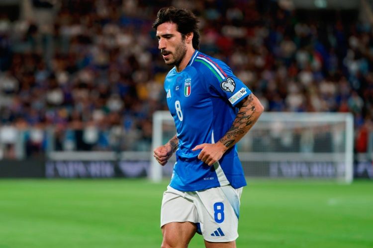 托纳利：世界杯附加赛有压力但我心态积极；我喜欢加图索的直率