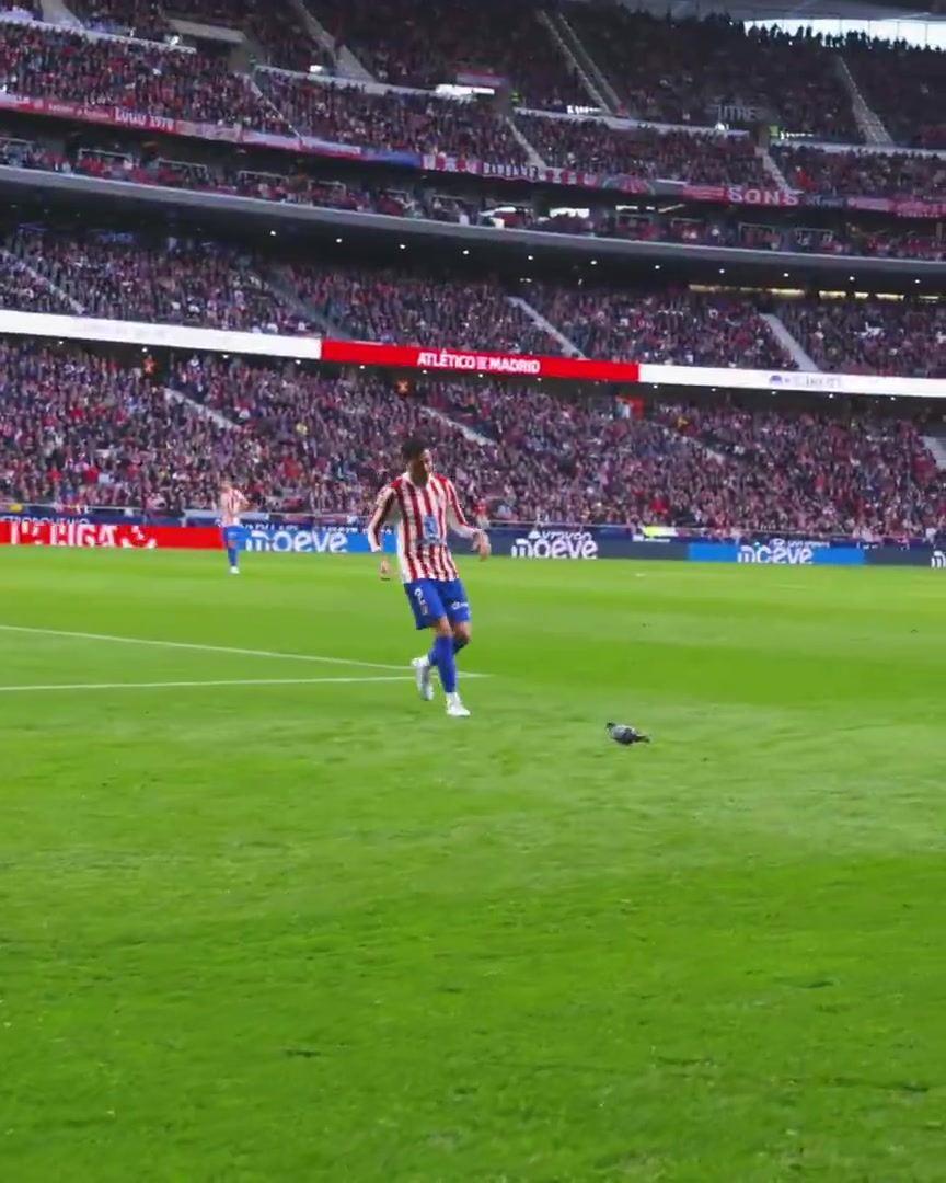 吉梅内斯将鸽子抱出比赛场地，全场球迷为他送上掌声