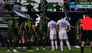 这球漂亮！第10分钟，特谢拉不停球撩射破门，申花1-0领先浙江