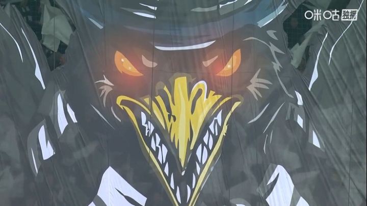 喜鹊撕咬黑猫！东北德比赛前，纽卡主场展示超震撼tifo！
