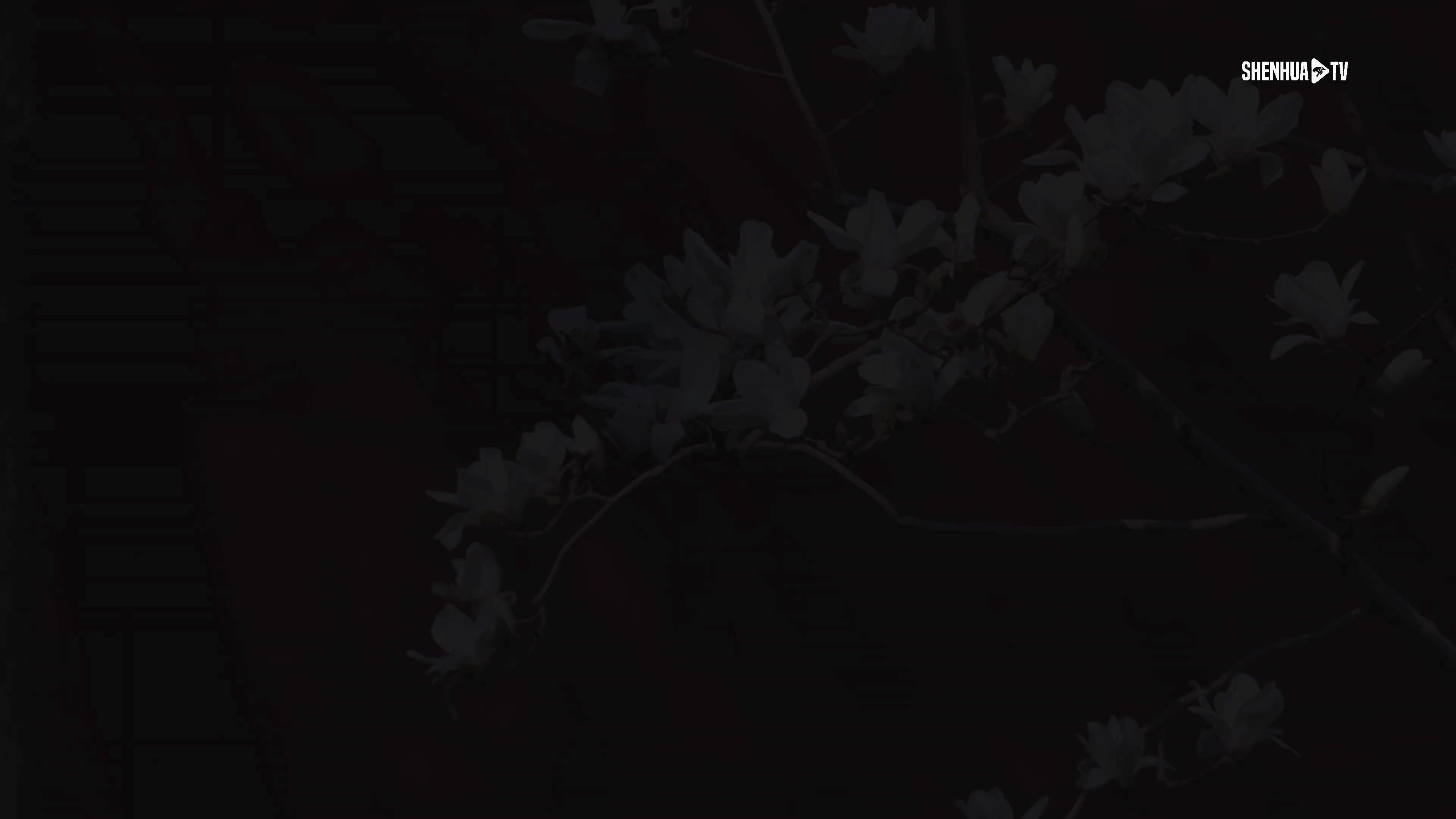 2026中超联赛第3轮北京国安1-1上海申花 Match Day比赛日纪实