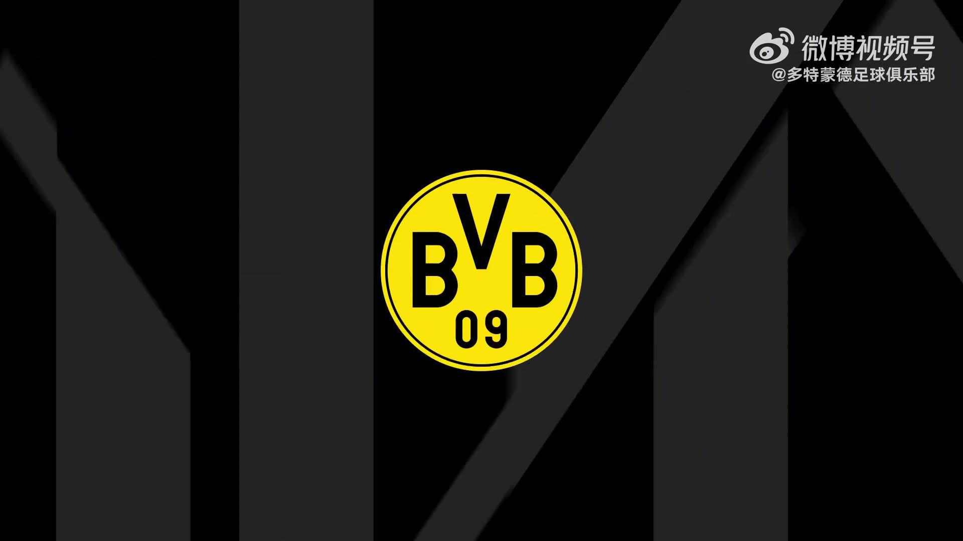 樊振东与波尔到访多特 踢球樊振东调侃：尽力了但踢得不咋地