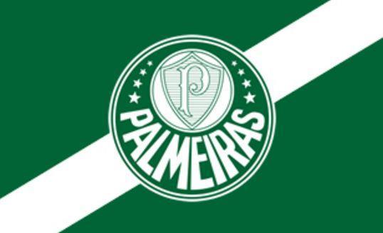 帕尔梅拉斯主席支持巴西足协建立单一联赛：有些球队自以为是皇马