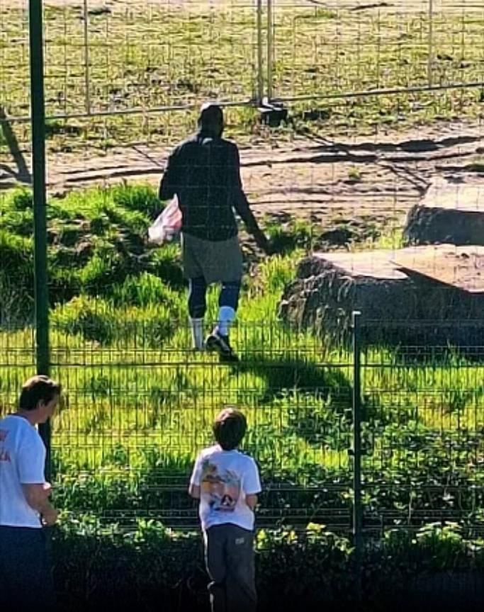 还不归队！意媒：卢卡库在安特卫普训练，预计归期不会早于下周中