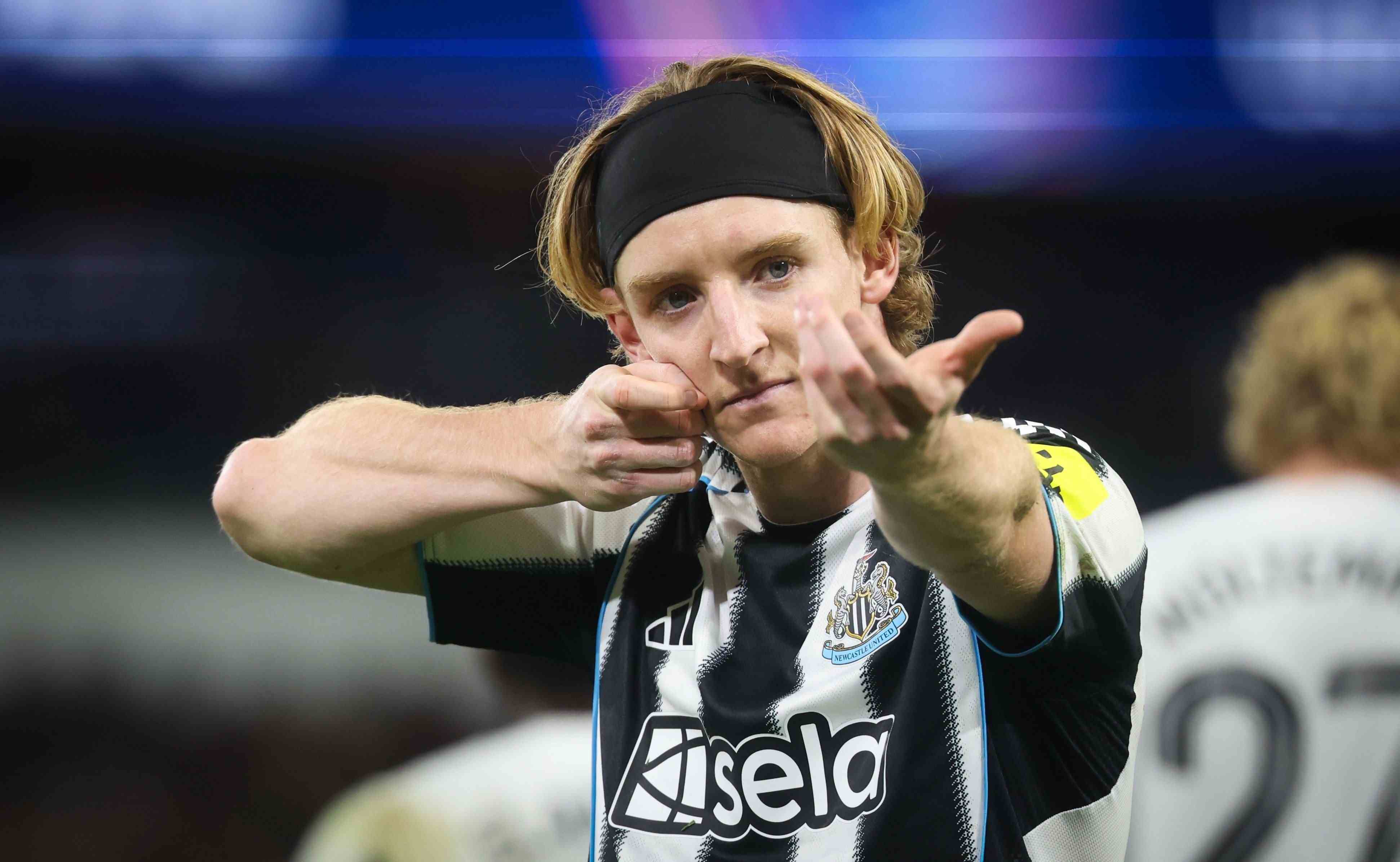 预计转会费超5500万镑！泰晤士：拜仁已联系纽卡前锋戈登