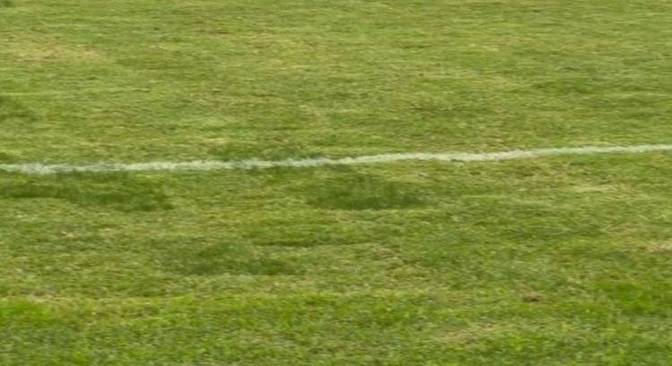 京媒：浙江队主帅阿洛伊西吐槽主场草皮，眼见为实确实不太理想