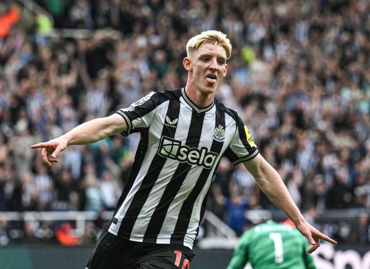 名宿谈戈登和拜仁之间的传闻：为什么要花费7500万镑引进一名替补