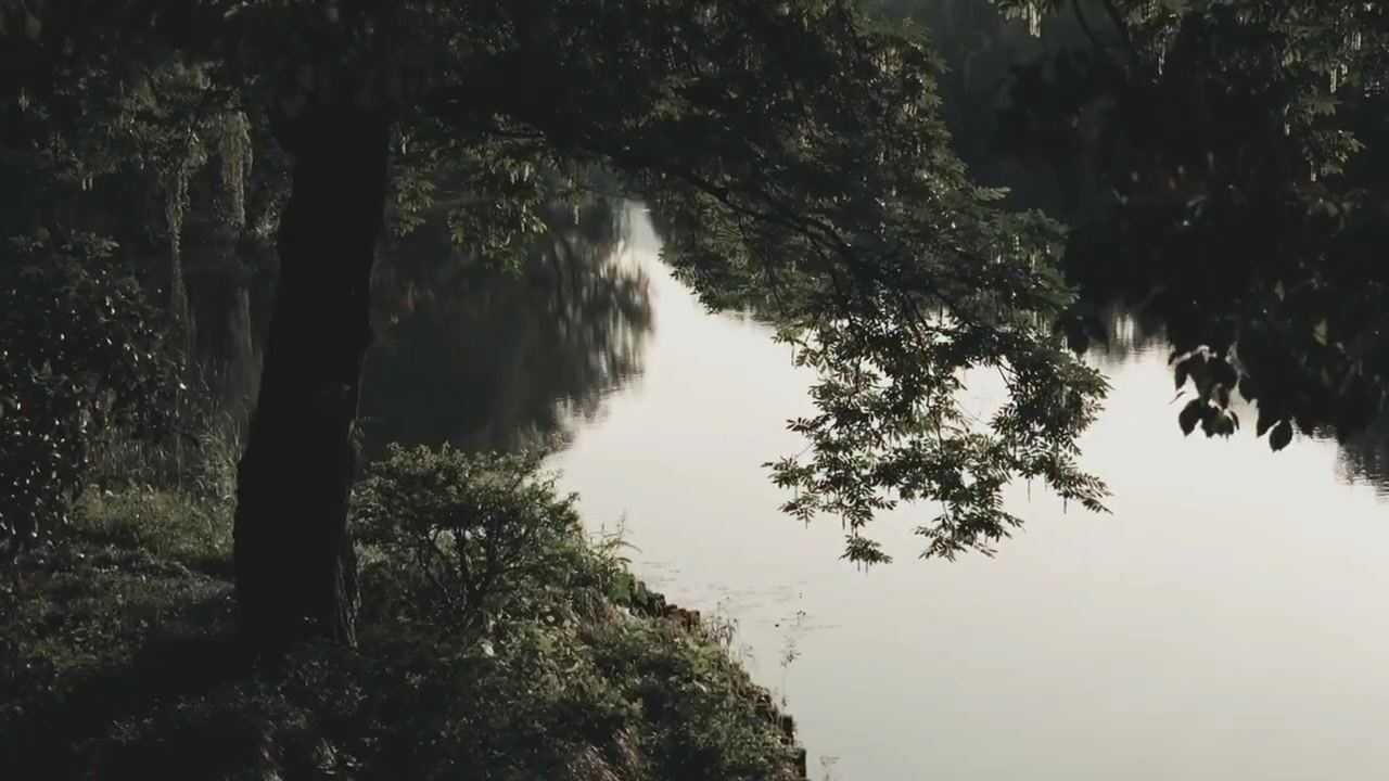 《这一程》EP.9｜5/2 浙江俱乐部绿城VS深圳新鹏城
