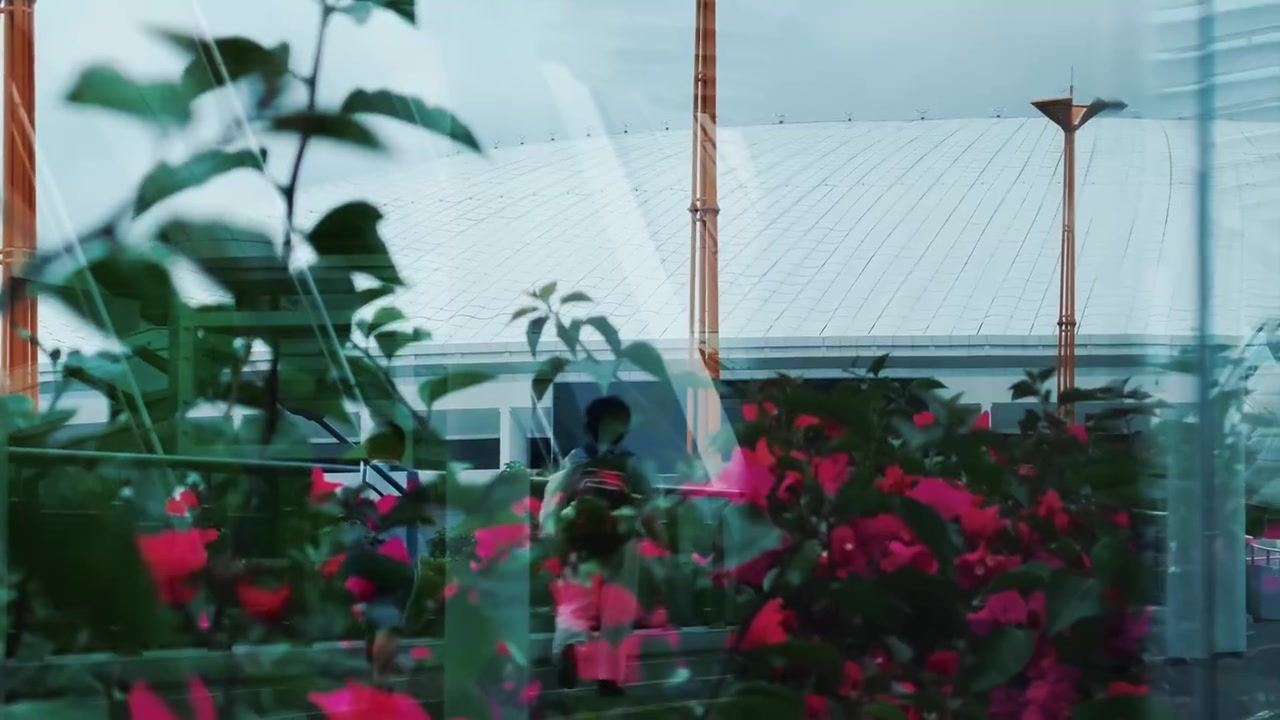 《这一程》EP.13｜5/19 深圳新鹏城 VS 大连英博海发